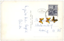 Schladming, Motiv am Talbach