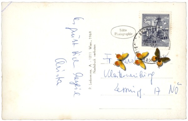 Schladming, Motiv am Talbach