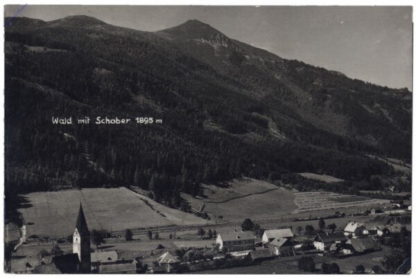 Wald am Schoberpass, mit Schober