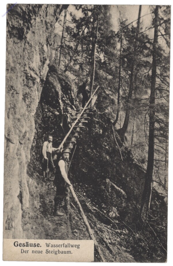 Gesäuse, Wasserfallweg, der neue Steigbaum