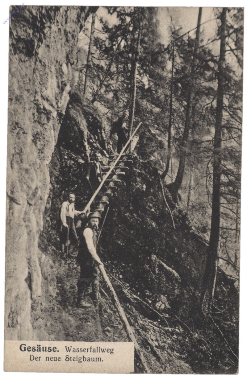 Gesäuse, Wasserfallweg, der neue Steigbaum