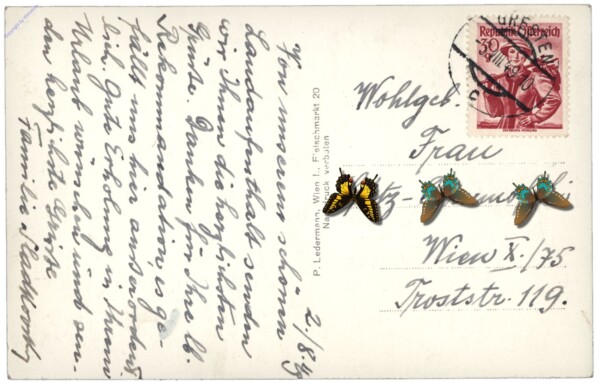 Gresten, Ortsansicht