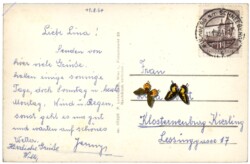 Puchberg am Schneeberg, Ortsansicht