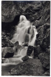 ak163589 Ysperklamm, Motiv