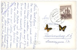 Filzmoos, gegen Bischofsmütze