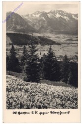 Windischgarsten, Ansicht