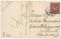 Vögel sitzen über einer Tanne