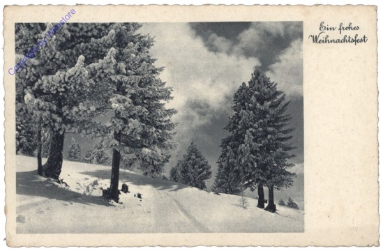 Verschneiter Waldweg