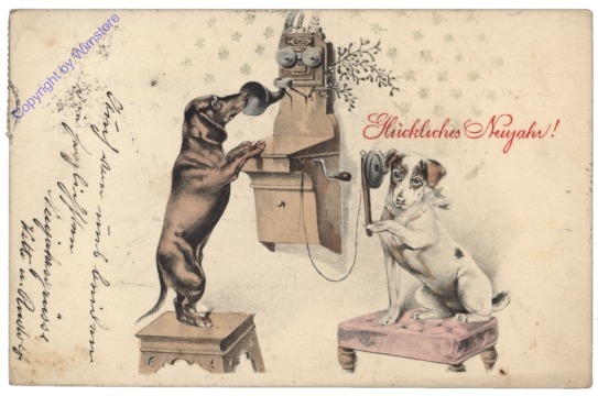 Hunde am Telefon