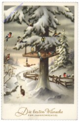 Vögel bei der Winterfütterung