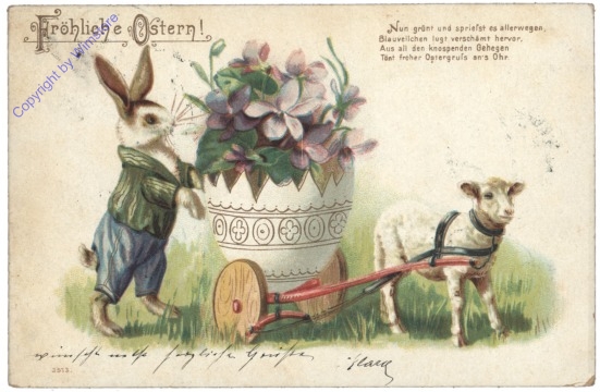 Hase mit Lammkutsche