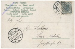 Hase mit Lammkutsche