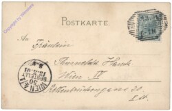 Margeriten-Strauß