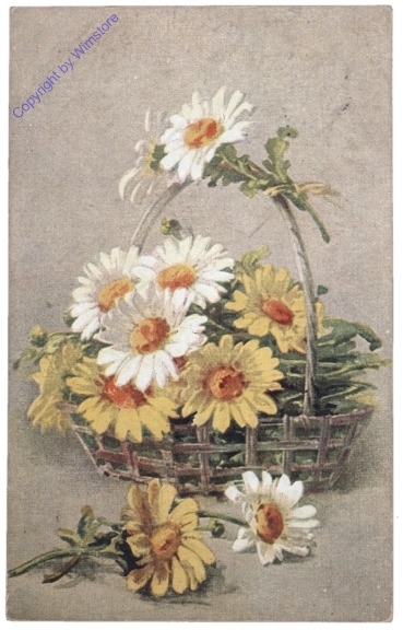 Margeriten im Korb