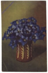 Enzian in der Vase