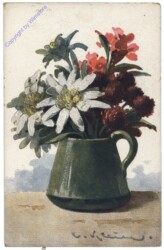 ak164084 Alpenblüher in Vase