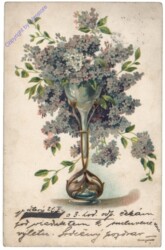 ak164086 Flieder in Vase