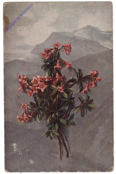 Sträußchen