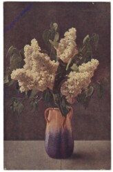 Flieder in Vase
