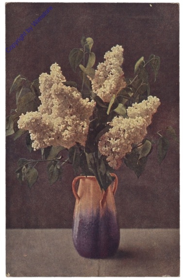 Flieder in Vase