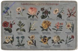 Blumensprache