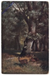 Rehe auf einer Lichtung