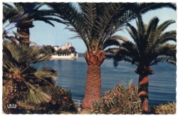 Beaulieu-sur-Mer, Paysage Mediterraneen
