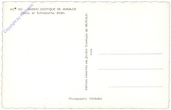 ak164372a Monaco, Jardin Exotique