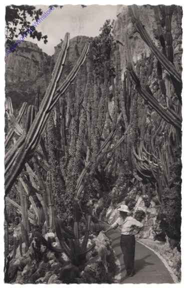 Monaco, Jardin Exotique