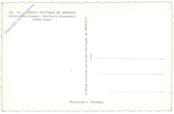 ak164374a Monaco, Jardin Exotique