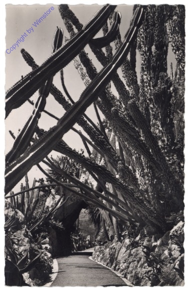 Monaco, Jardin Exotique