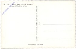 ak164380a Monaco, Jardin Exotique