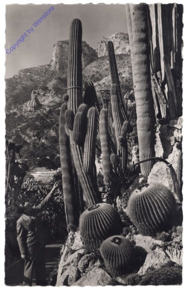 Monaco, Jardin Exotique