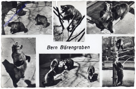 ak164385 Bern, Bärengraben