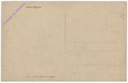 ak164428a Meggen, Ortsansicht