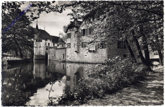 ak164438 Seengen, Schloss Hallwil