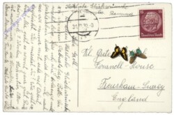 ak164458a Boot mit Blumen, Geburtstag