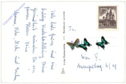 ak164459a Rosen, Geburtstag