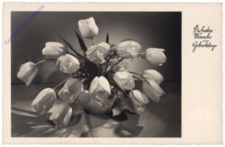 ak164462 Tulpen in Vase, Geburtstag