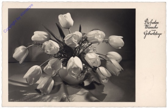 ak164462 Tulpen in Vase, Geburtstag