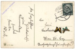 ak164544a Tulpen in Vase, Namenstag