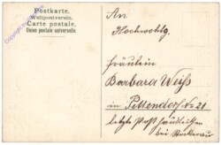ak164570a Rosenhochstamm, Namenstag