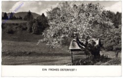 Blühender Baum
