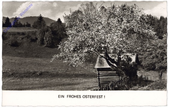Blühender Baum
