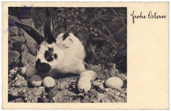 Osterhase mit Eiern