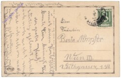 Kind mit zwei Schafen