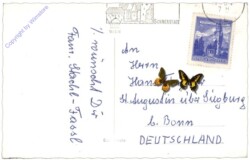 ak164649a Marterl