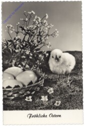 Kücken neben Osternest