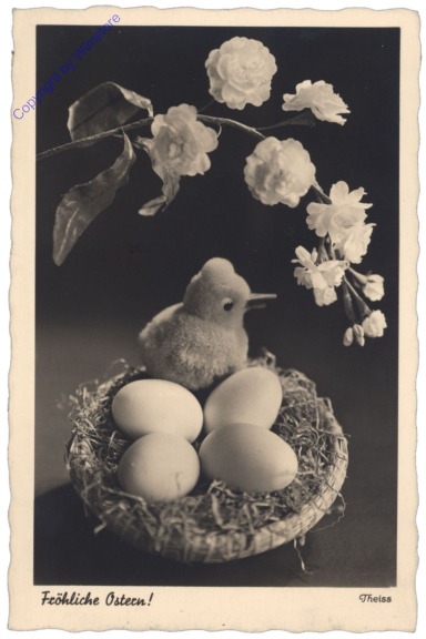 Kücken im  Osternest