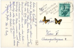 Kücken im Osternest